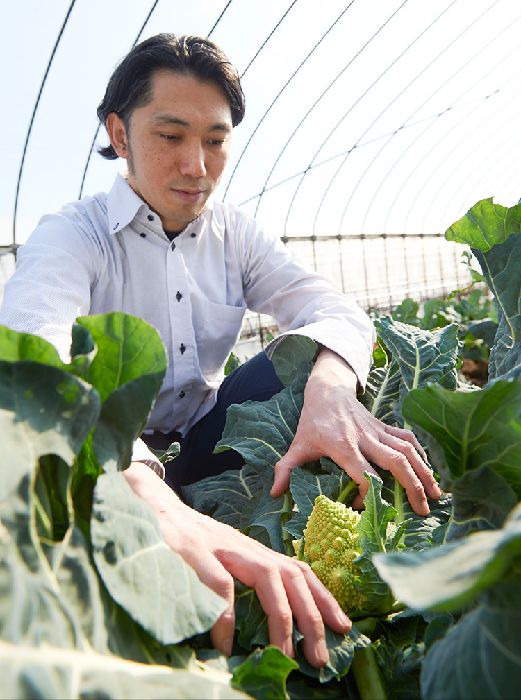 想いを紡ぐ、季節のコースを